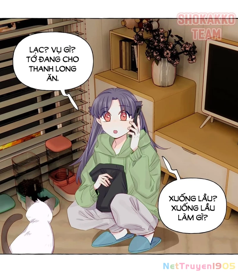 CẠM BẪY GÁI THẲNG Chapter 48 - Trang 26