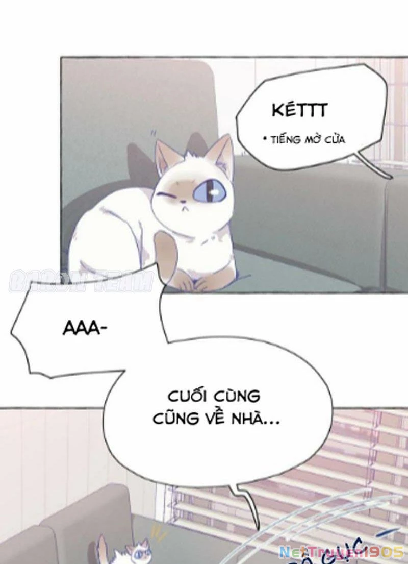 CẠM BẪY GÁI THẲNG Chapter 5 - Trang 23