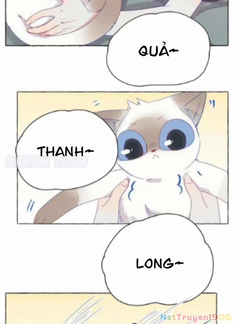 CẠM BẪY GÁI THẲNG Chapter 5 - Trang 25
