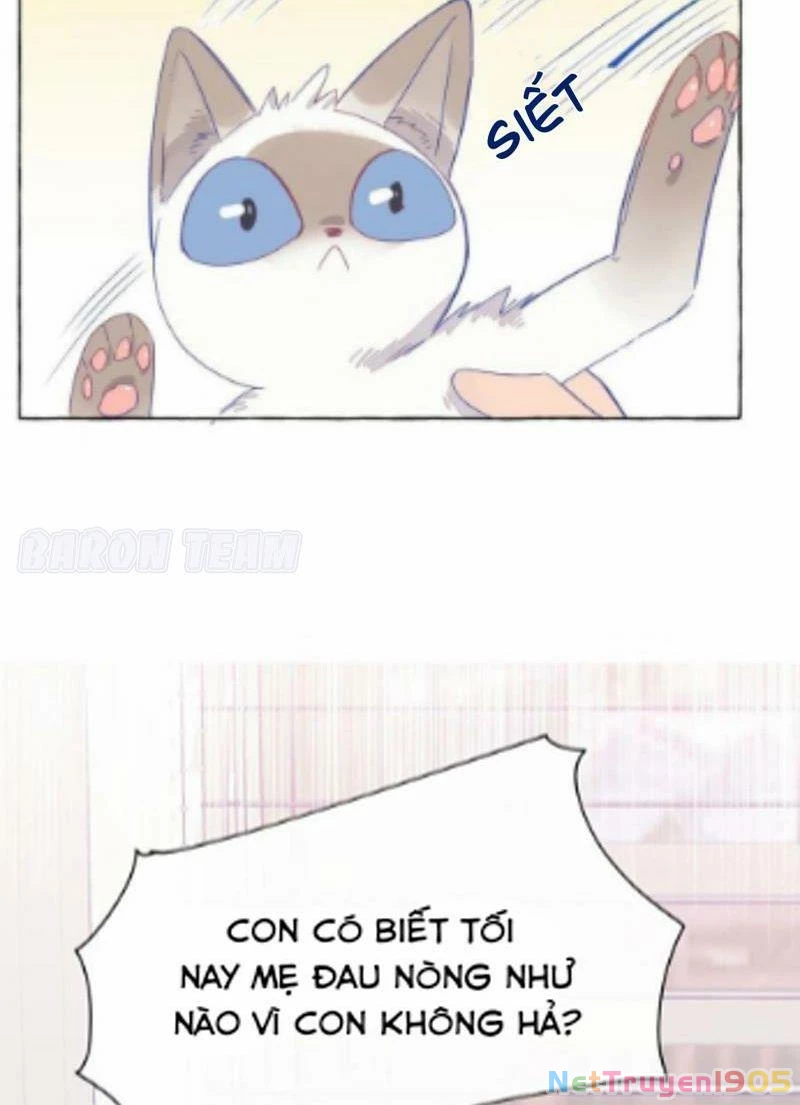 CẠM BẪY GÁI THẲNG Chapter 5 - Trang 26