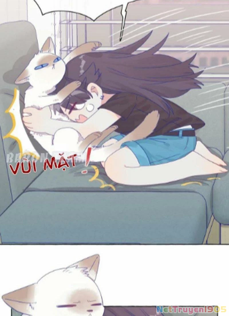 CẠM BẪY GÁI THẲNG Chapter 5 - Trang 27