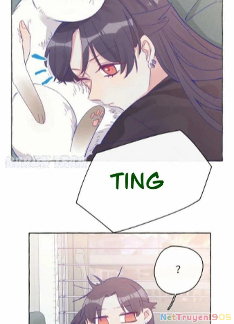 CẠM BẪY GÁI THẲNG Chapter 5 - Trang 28