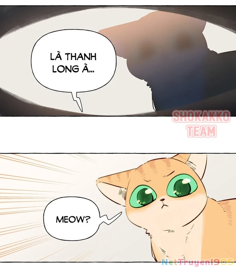 CẠM BẪY GÁI THẲNG Chapter 55 - Trang 15