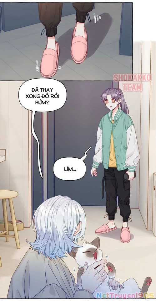 CẠM BẪY GÁI THẲNG Chapter 56 - Trang 2