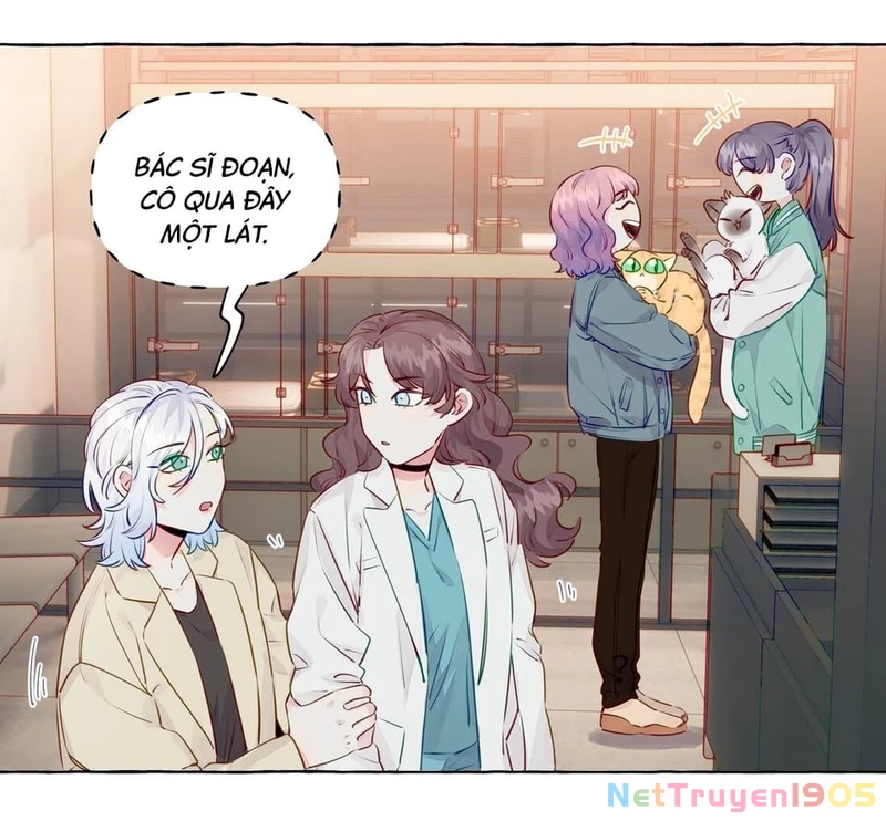 CẠM BẪY GÁI THẲNG Chapter 57 - Trang 11
