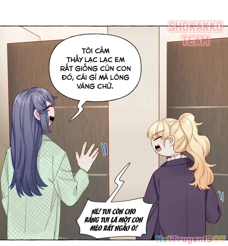 CẠM BẪY GÁI THẲNG Chapter 63 - Trang 19