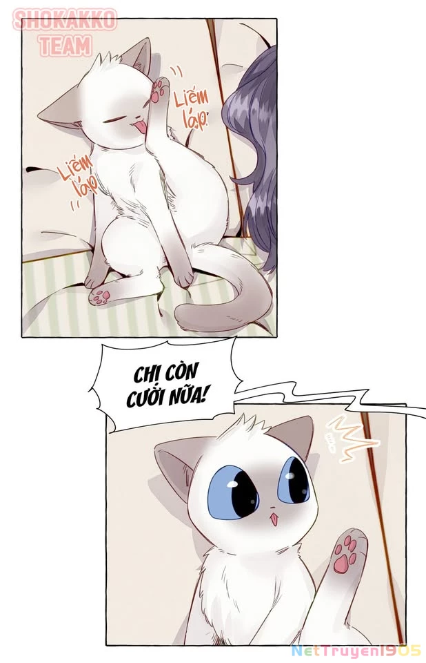 CẠM BẪY GÁI THẲNG Chapter 65 - Trang 26