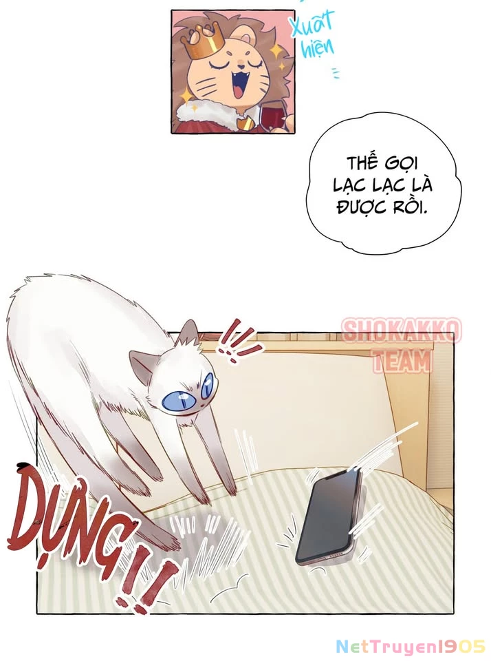CẠM BẪY GÁI THẲNG Chapter 66 - Trang 19