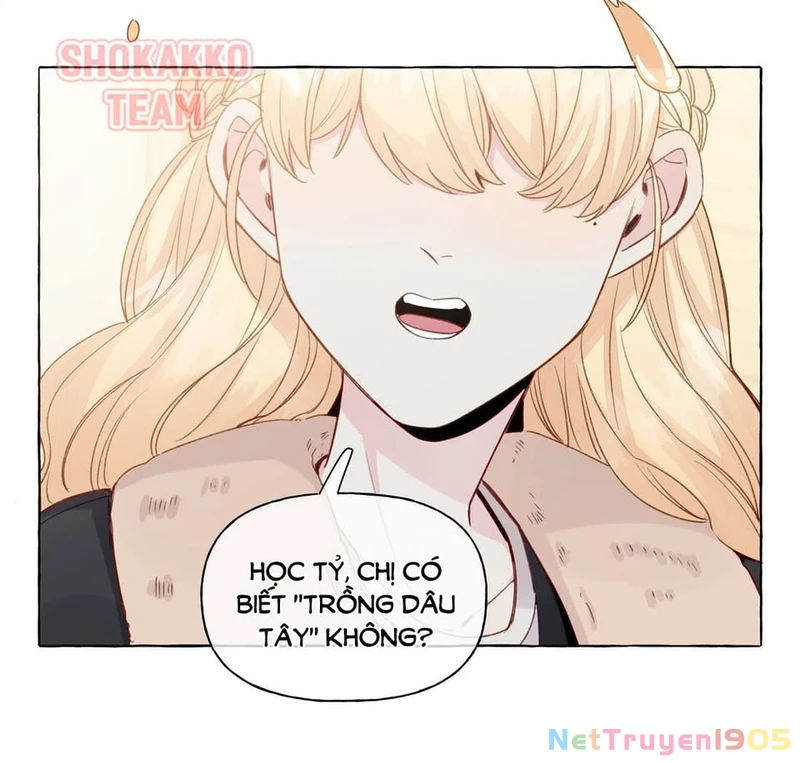 CẠM BẪY GÁI THẲNG Chapter 72 - Trang 11