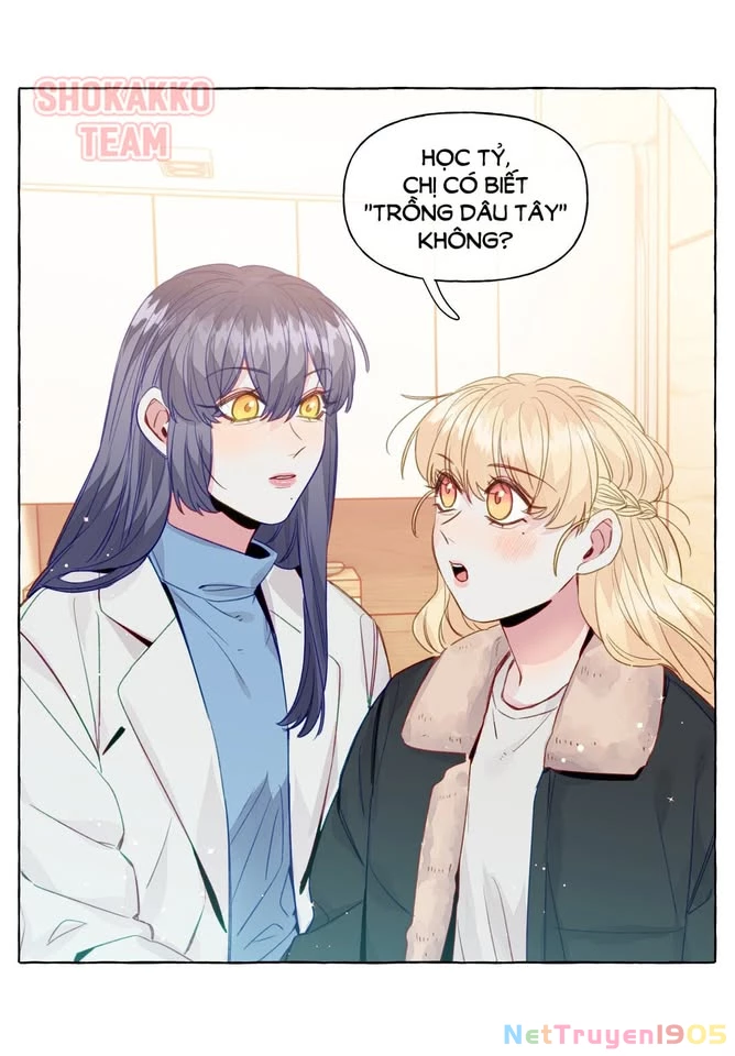 CẠM BẪY GÁI THẲNG Chapter 72 - Trang 3