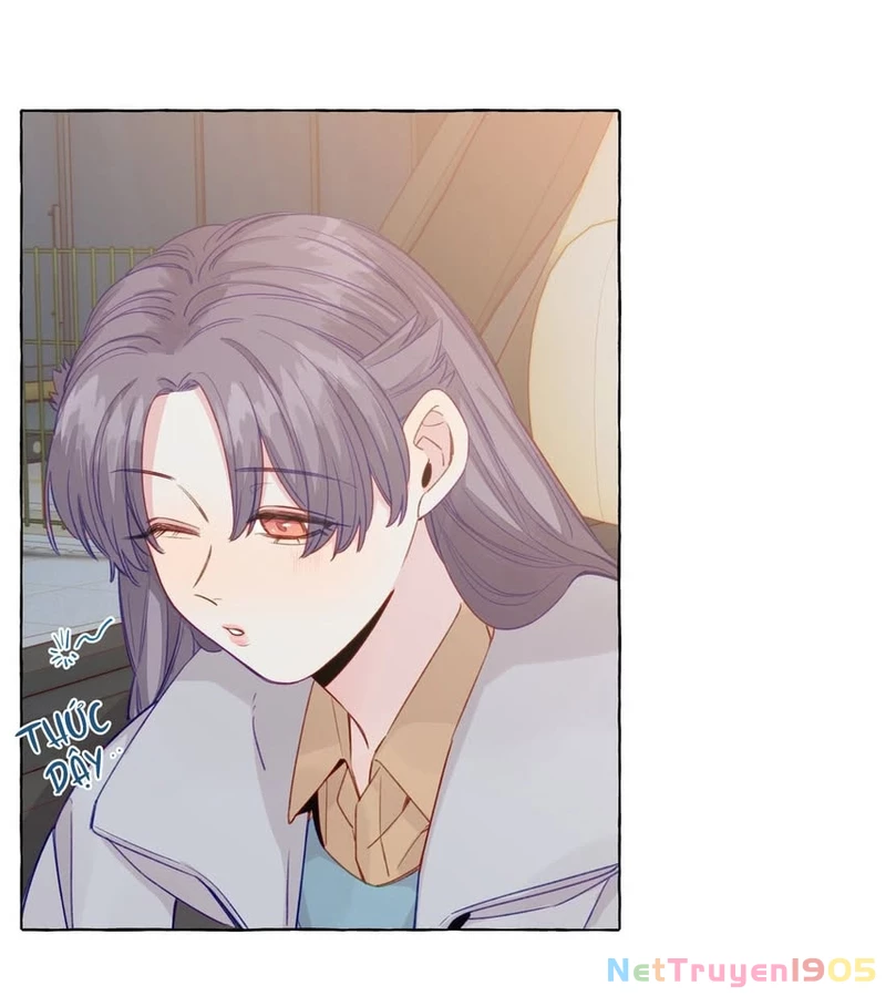 CẠM BẪY GÁI THẲNG Chapter 72 - Trang 35