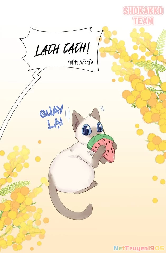 CẠM BẪY GÁI THẲNG Chapter 73 - Trang 2