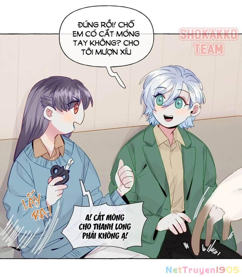 CẠM BẪY GÁI THẲNG Chapter 73 - Trang 24