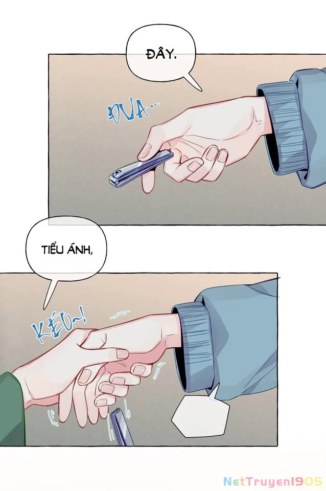 CẠM BẪY GÁI THẲNG Chapter 73 - Trang 29