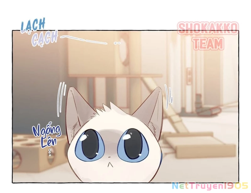 CẠM BẪY GÁI THẲNG Chapter 74 - Trang 16