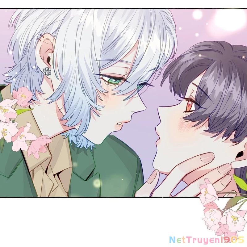 CẠM BẪY GÁI THẲNG Chapter 74 - Trang 4
