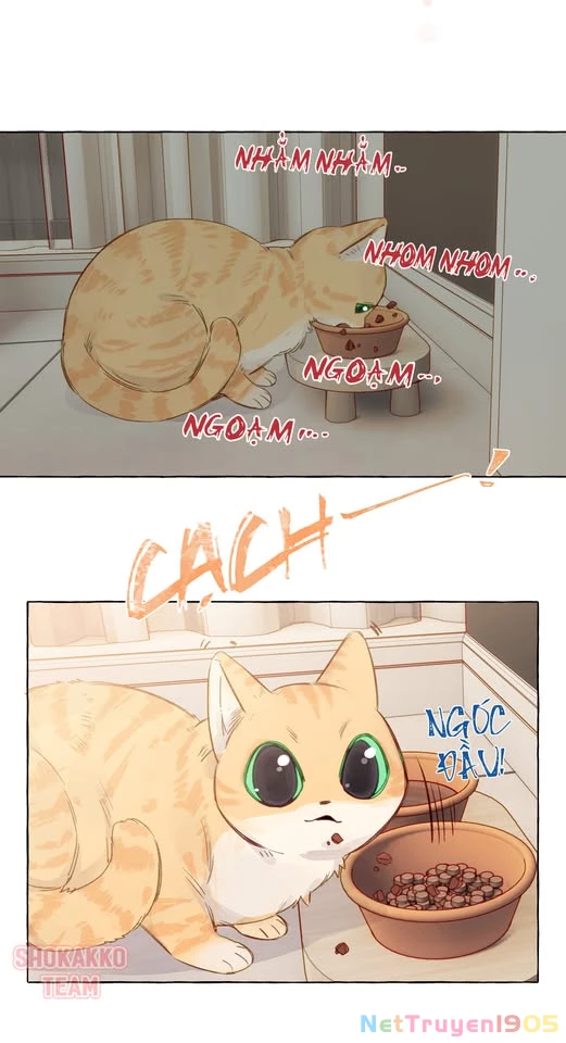 CẠM BẪY GÁI THẲNG Chapter 79 - Trang 12