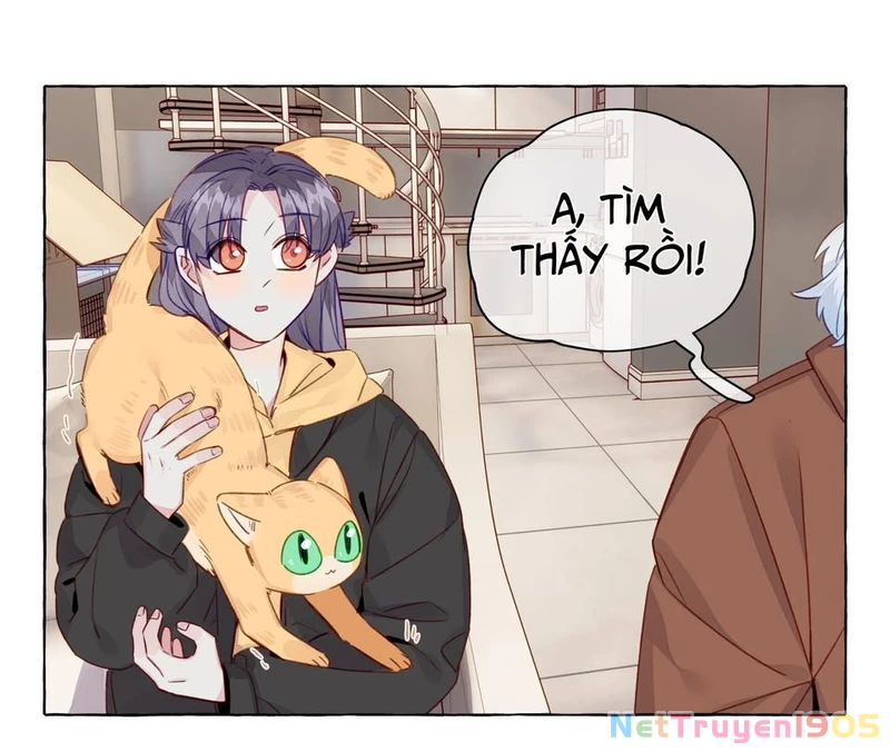 CẠM BẪY GÁI THẲNG Chapter 79 - Trang 18