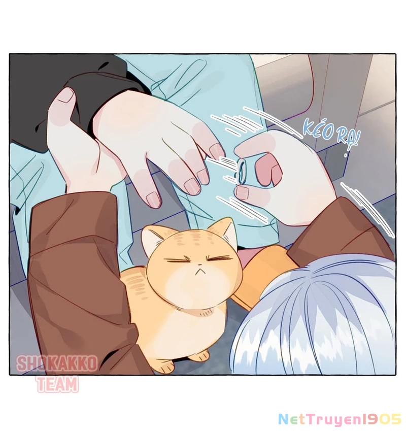 CẠM BẪY GÁI THẲNG Chapter 79 - Trang 28
