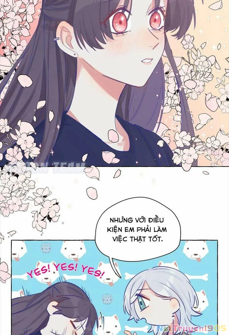 CẠM BẪY GÁI THẲNG Chapter 8 - Trang 18
