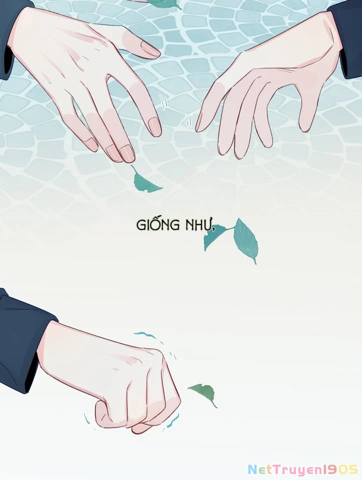 CẠM BẪY GÁI THẲNG Chapter 81 - Trang 33