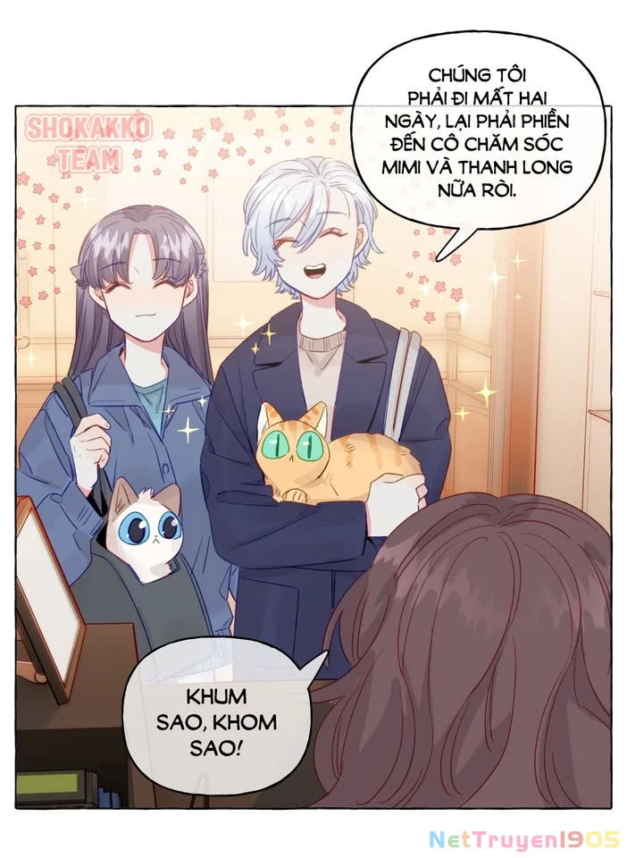CẠM BẪY GÁI THẲNG Chapter 81 - Trang 36