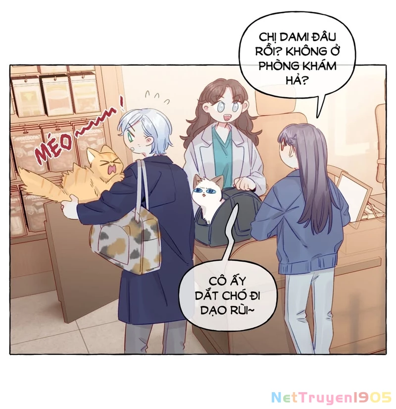 CẠM BẪY GÁI THẲNG Chapter 81 - Trang 37