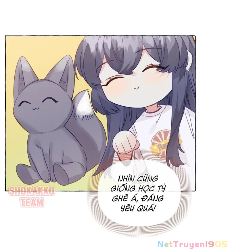 CẠM BẪY GÁI THẲNG Chapter 84 - Trang 7