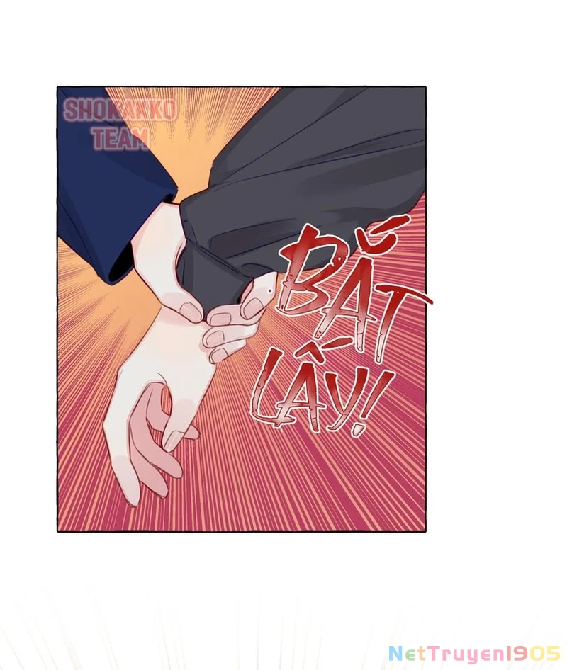 CẠM BẪY GÁI THẲNG Chapter 85 - Trang 31
