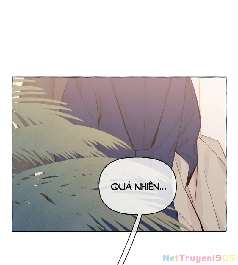 CẠM BẪY GÁI THẲNG Chapter 86 - Trang 4