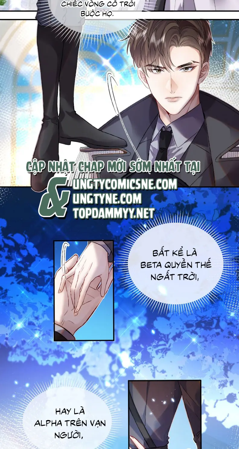 Cạm Bẫy Tin Tức Tố Chapter 1 - Trang 14