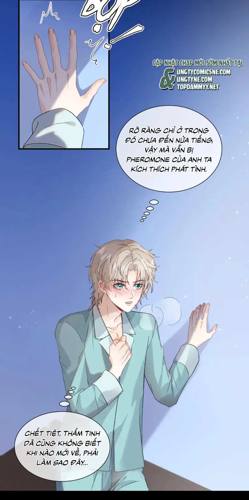 Cạm Bẫy Tin Tức Tố Chapter 12 - Trang 4