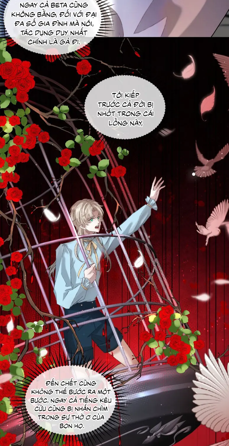 Cạm Bẫy Tin Tức Tố Chapter 5 - Trang 12