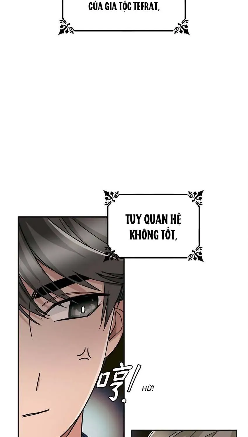 Cám Dỗ Không Thể Kháng Cự Của Ác Nữ Chapter 3 - Trang 26