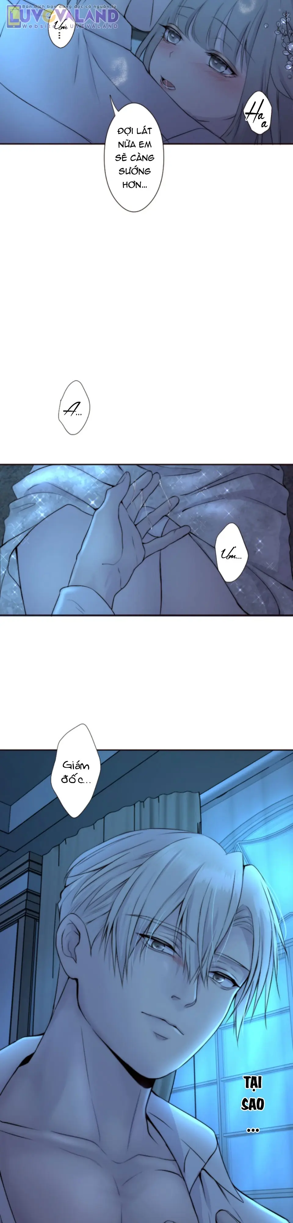 Cám Dỗ Nguy Hiểm Chapter 39 - Trang 15
