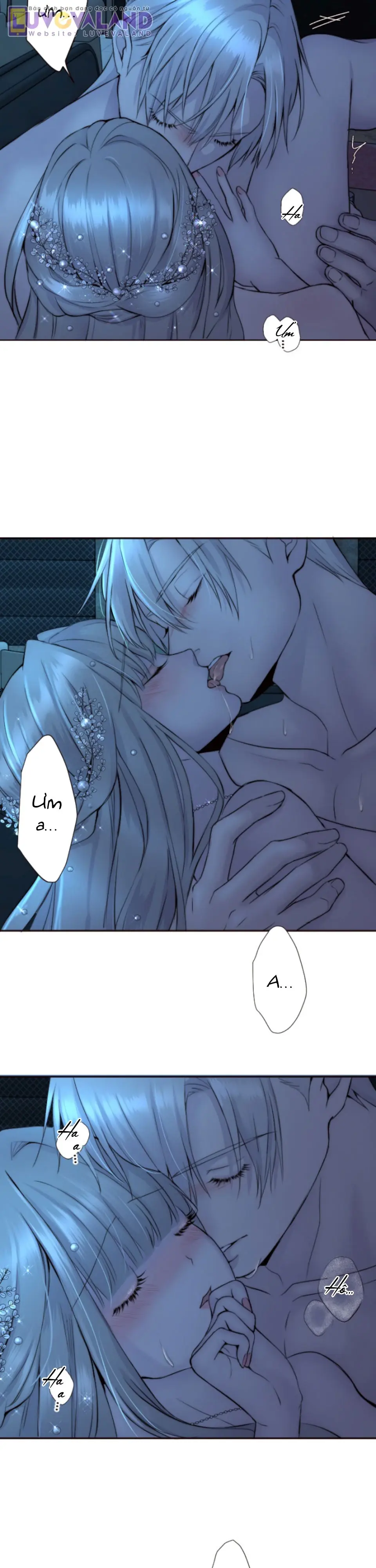 Cám Dỗ Nguy Hiểm Chapter 40 - Trang 5
