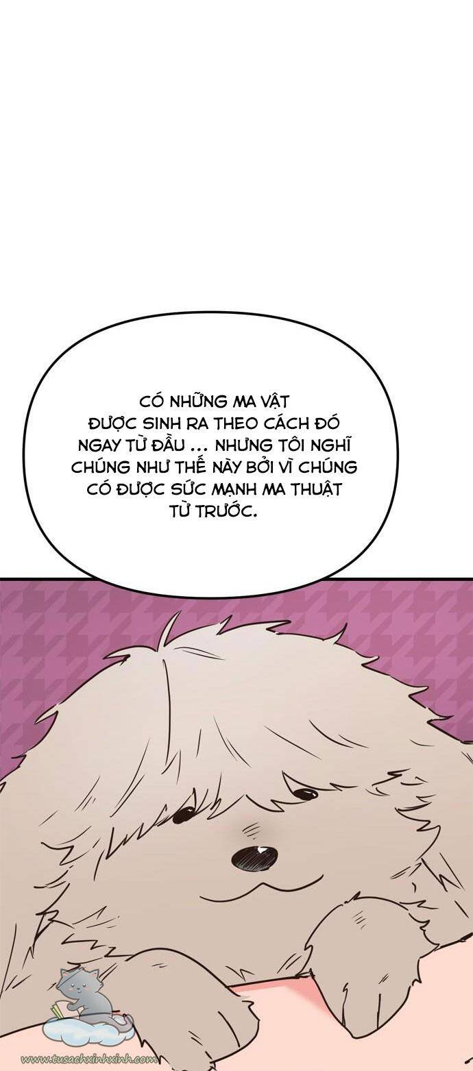 Căn Hộ Ký Túc Xá Của Pháp Sư Chapter 12 - Trang 8