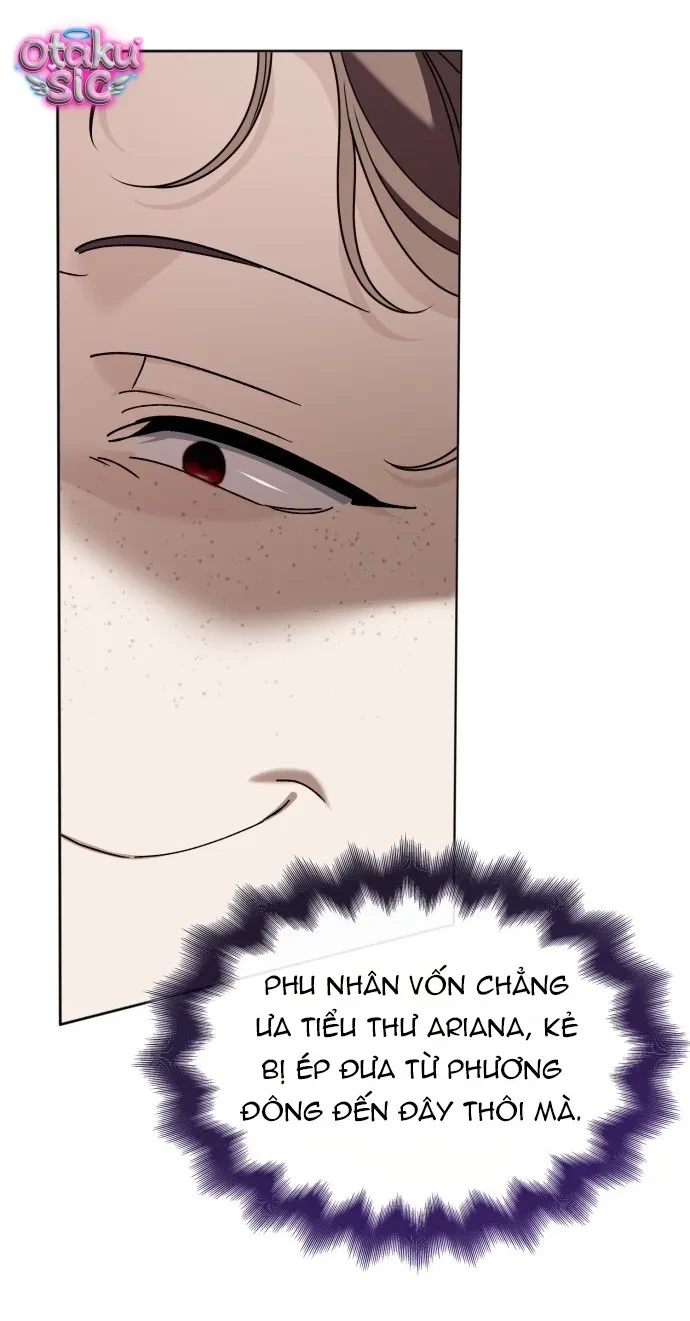 Cao Quý Và Phù Phiếm Chapter 2 - Trang 46