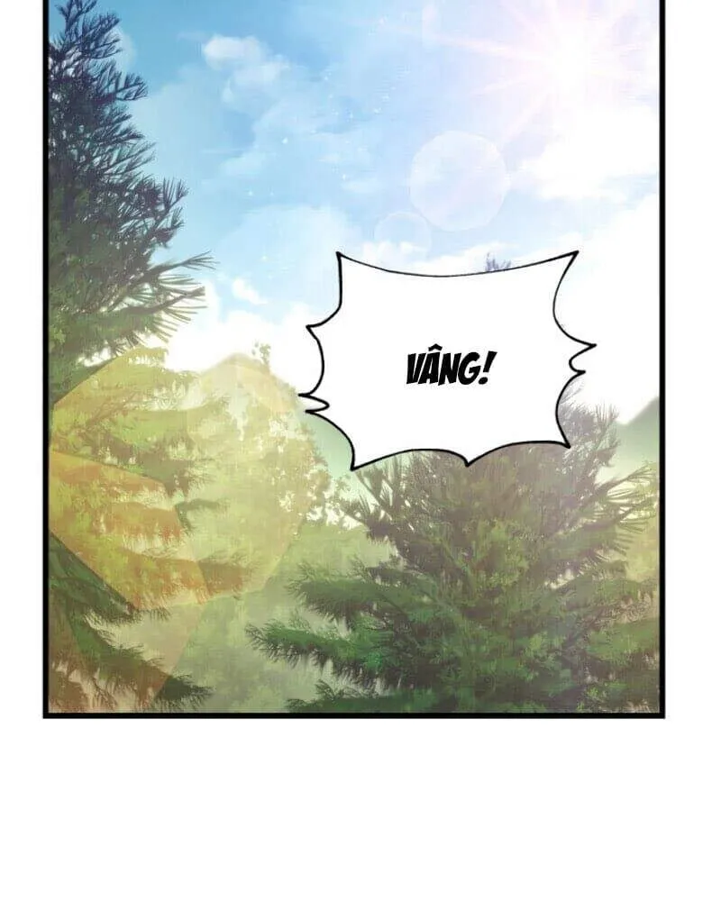 Cao thủ trở lại Chapter 11 - Trang 19
