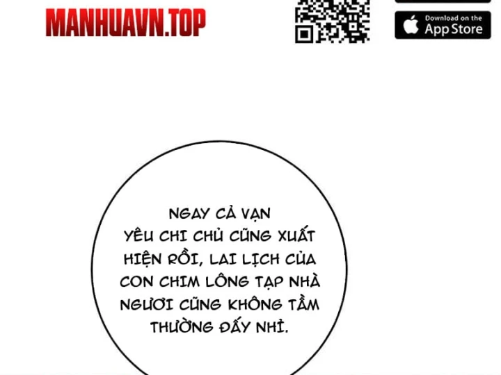 Cao Võ: Một Tay Nghiền Nát Ba Ngàn Đại Đế! Chapter 33 - Trang 15