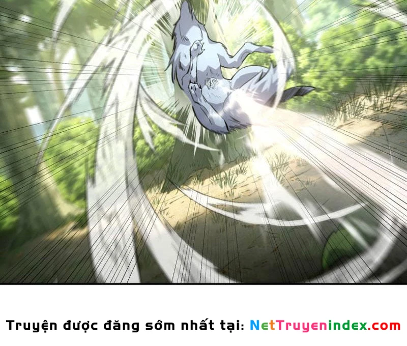 Cao Võ: Một Tay Nghiền Nát Ba Ngàn Đại Đế! Chapter 5 - Trang 13
