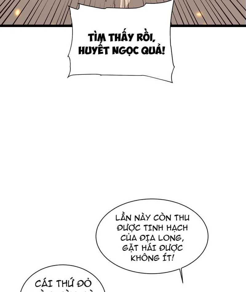 Cao Võ Tiến Hóa: Bắt Đầu Từ Việc Thức Tỉnh Quái Thú Chi Vương Chapter 4 - Trang 23