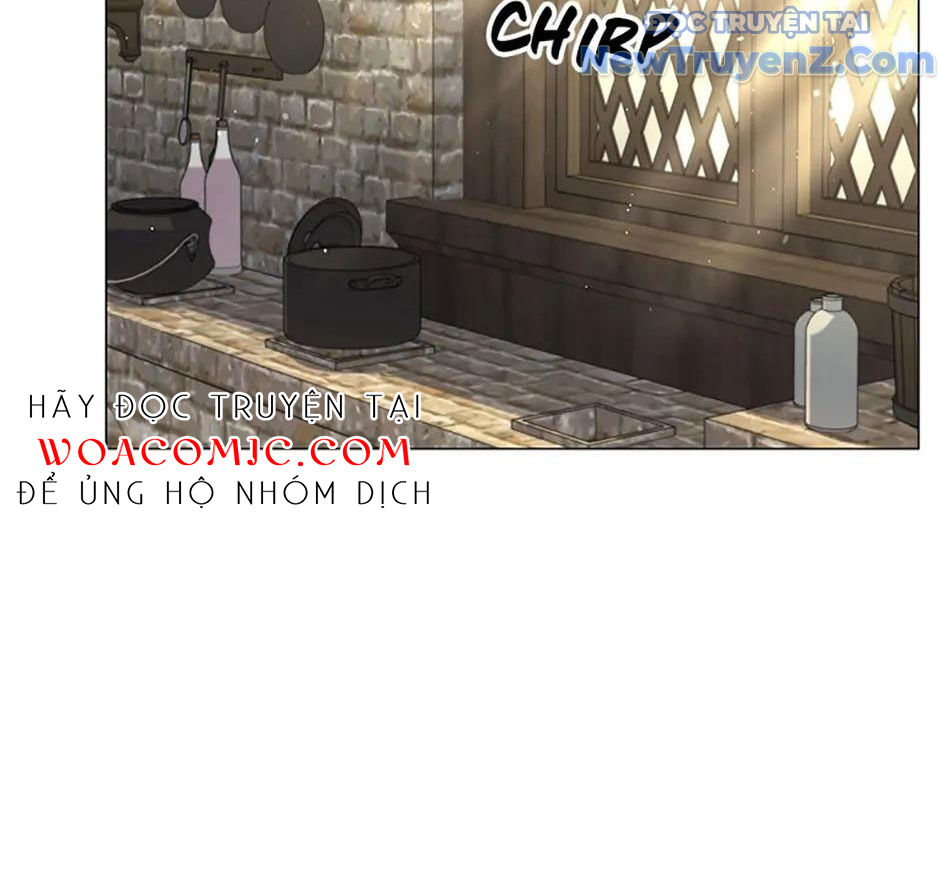 Carnelian: Quý Cô Rồng Chapter 16 - Trang 6