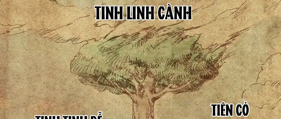Câu Chuyện Sinh Tồn Của Kiếm Vương Ở Thế Giới Khác Chapter 73 - Trang 30