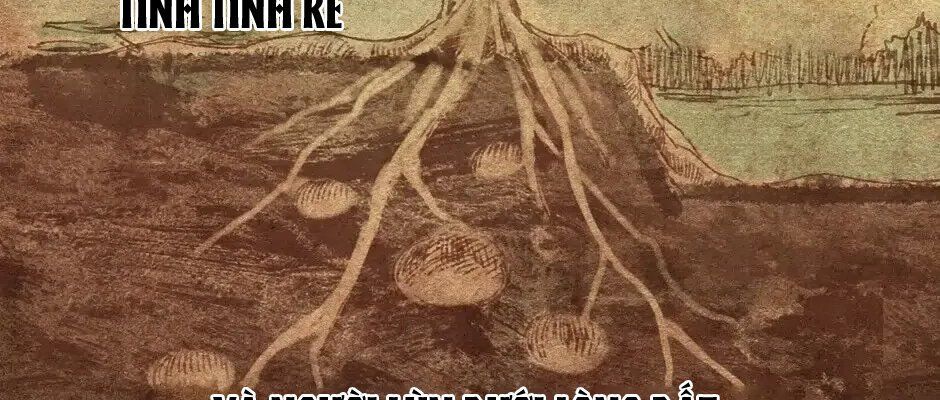 Câu Chuyện Sinh Tồn Của Kiếm Vương Ở Thế Giới Khác Chapter 73 - Trang 31