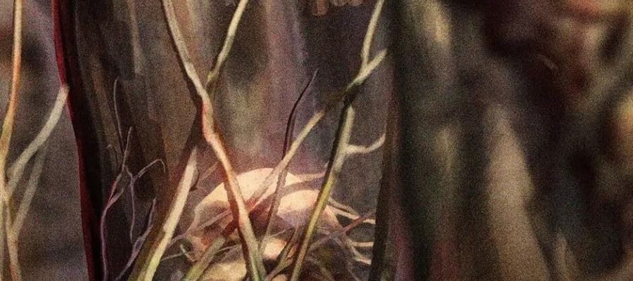 Câu Chuyện Sinh Tồn Của Kiếm Vương Ở Thế Giới Khác Chapter 84 - Trang 2