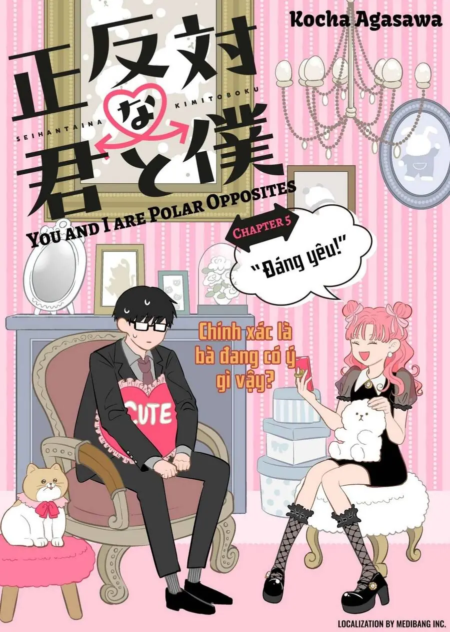 Cậu Và Tớ Là Hai Thái Cực Đối Lập Chapter 5 - Trang 3