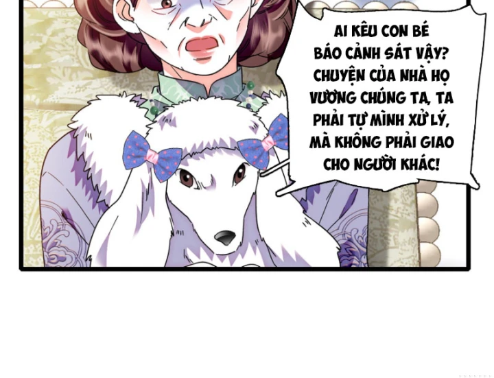 Chàng Rể Bị Vứt Bỏ Lên Ngôi Chapter 11 - Trang 26