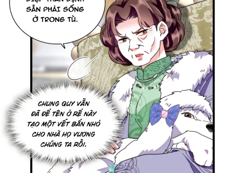 Chàng Rể Bị Vứt Bỏ Lên Ngôi Chapter 11 - Trang 29