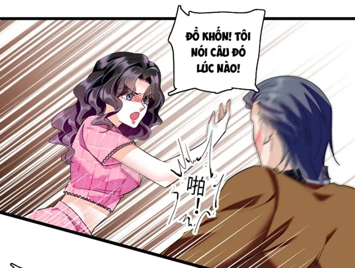 Chàng Rể Bị Vứt Bỏ Lên Ngôi Chapter 15 - Trang 11